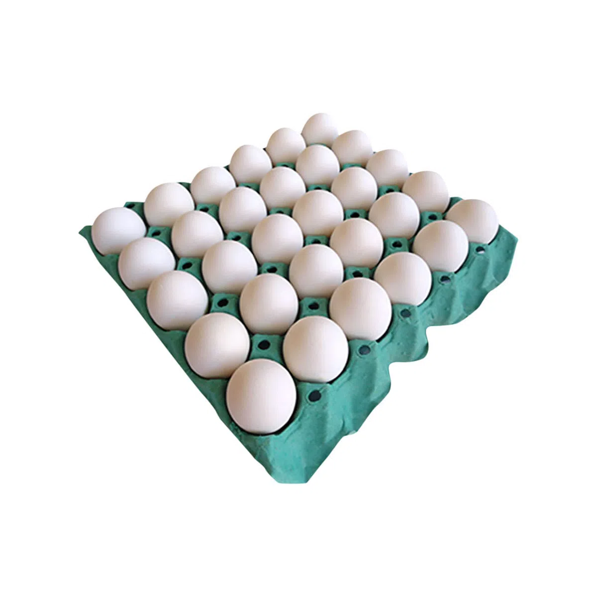 OVOS BRANCOS 