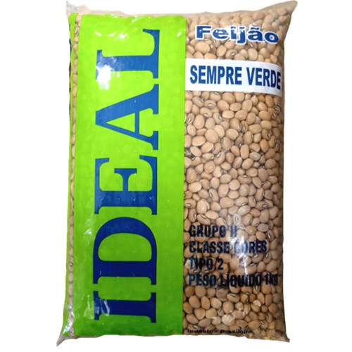 FEIJÃO SEMPRE VERDE 